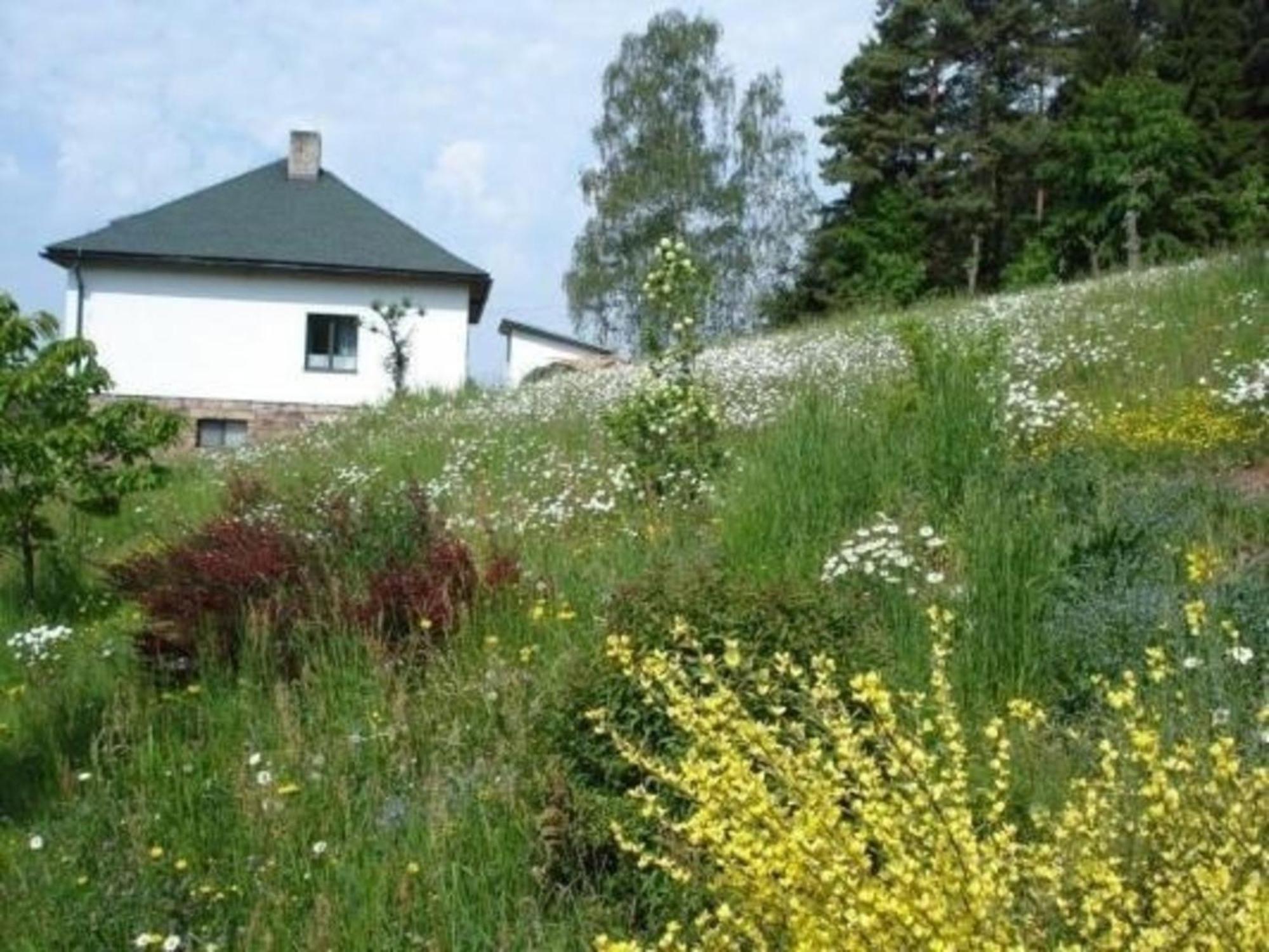 Вілла Ein Ferienhaus Mit Terrasse Und Garten Male Svatonovice Екстер'єр фото